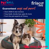 Đồ chơi Frisco Fetch Squeaky Tennis Balls - Hỗ trợ vận động và luyện tập Petmall