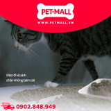 Cát gỗ vệ sinh Cat litter Laima 10kg - Không bụi Petmall