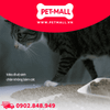 Cát gỗ vệ sinh Cat litter Laima 10kg - Không bụi Petmall