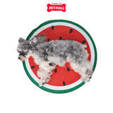 Đồ chơi FF Watermelon Cooling Mat - Thảm làm mát hình dưa hấu Petmall