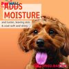 Sữa tắm Hartz Groomer's Best Professionals Hydrate & Shine with Coconut Oil & Apricot Bloom Scent Dog Shampoo 532ml - Dưỡng ẩm và trắng sáng lông Petmall