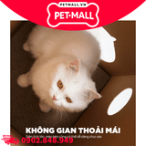 Nhà tích hợp cào móng cho mèo QQ Goat Milk Cat House - Size 55 x 33 x 33 cm Petmall