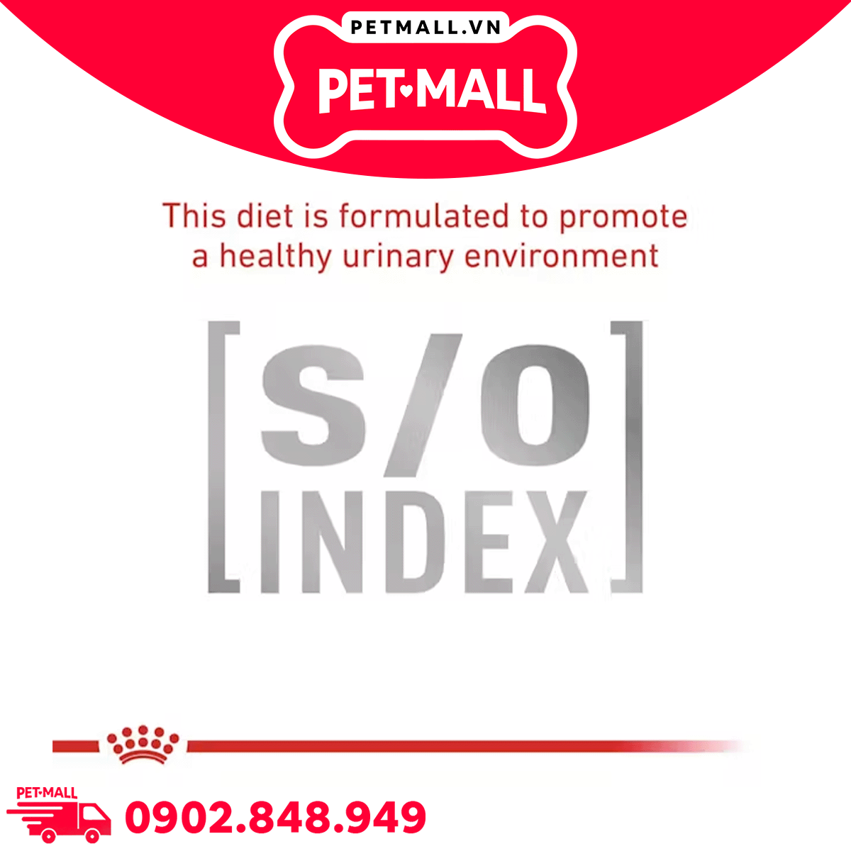 400G - Thức ăn mèo Royal Canin Skin & Coat - Dưỡng da và lông Petmall