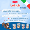 Combo 6 Lon 400G - Pate MONGE Fresh vị Thịt Vịt Petmall