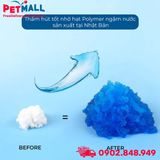 Tấm lót vệ sinh HoneyCare Potty Standard Size L | 60x90cm - 50 tấm - Hỗ trợ huấn luyện Pee Pads Petmall