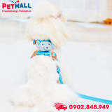 Set yếm + dây dắt SONICE Bechon Elephant - Hình con voi Petmall