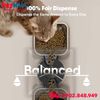 Máy cho ăn tự động Oneisall Smart Pet Feeder with 5G WiFi PFD-002 Pro - 5L Petmall