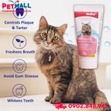 Bộ kem đánh răng và bàn chải Bioline Dental Hygiene Set Cheese Flavor for Cats 50g - Kem đánh vị phô mai, dành cho Mèo Petmall