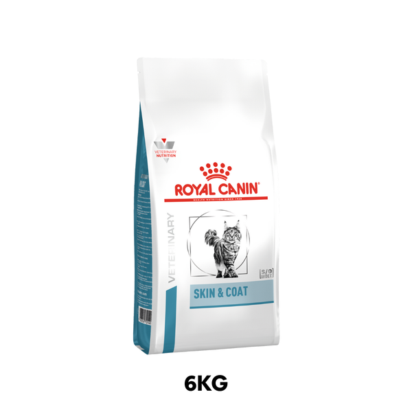 6KG - Thức ăn mèo Royal Canin Skin & Coat - Dưỡng da và lông Petmall