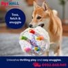 Đồ chơi Frisco Plush Birthday Cake with Squeaker Dog Toy Small Size - Hình bánh sinh nhật Petmall