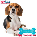Đồ chơi FOFOS Cool Chill & Chew Dog Toys Size 18x9cm - Có gel lạnh bên trong, hỗ trợ giải nhiệt mùa hè Petmall