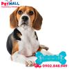 Đồ chơi FOFOS Cool Chill & Chew Dog Toys Size 18x9cm - Có gel lạnh bên trong, hỗ trợ giải nhiệt mùa hè Petmall
