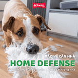 Đồ chơi FF SUMMER series Pineapple - Quả dứa Petmall