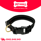 Vòng cổ SONICE Mix Colour Extra Large Size - Cho chó > 30kg Petmall