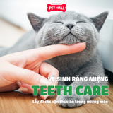 Đồ chơi FF Sea life Cat toy - Set 6 cái chủ đề biển Petmall