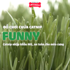 Đồ chơi FF Sea life Cat toy - Set 6 cái chủ đề biển Petmall