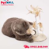 Đồ Chơi FOFOS Natural Wobbler Cat Toys Size 14x25cm - Bàn Cào Móng Lông Vũ Tự Nhiên Petmall