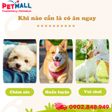 Xương nơ da bò DoggyMan 5 cây - Sạch răng, giảm stress Petmall