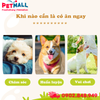 Xương nơ da bò DoggyMan 5 cây - Sạch răng, giảm stress Petmall