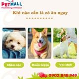 Xương nơ da bò DoggyMan 2 cây lớn - Sạch răng, giảm stress Petmall
