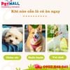 Xương nơ da bò DoggyMan 2 cây lớn - Sạch răng, giảm stress Petmall