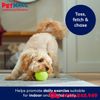 Đồ chơi Frisco Fetch Squeaky Tennis Balls - Hỗ trợ vận động và luyện tập Petmall