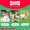 Xương nơ DoggyMan Chewell 110g- 11 cây - Da bò kẹp thịt gà mini Petmall