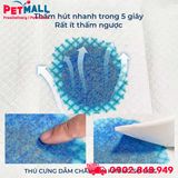 Tấm lót vệ sinh HoneyCare Potty Standard Size L | 60x90cm - 50 tấm - Hỗ trợ huấn luyện Pee Pads Petmall