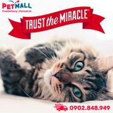 Xịt Nature's Miracle Advanced Platinum Cat Calming Spray 236ml - Hỗ trợ mèo giảm căng thẳng Petmall