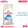 Thức ăn mèo Royal Canin INDOOR 4kg - Dành cho mèo trưởng thành trên 12 tháng tuổi Petmall