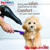 Sữa tắm Hartz Groomer's Best Professionals Hydrate & Shine with Coconut Oil & Apricot Bloom Scent Dog Shampoo 532ml - Dưỡng ẩm và trắng sáng lông Petmall