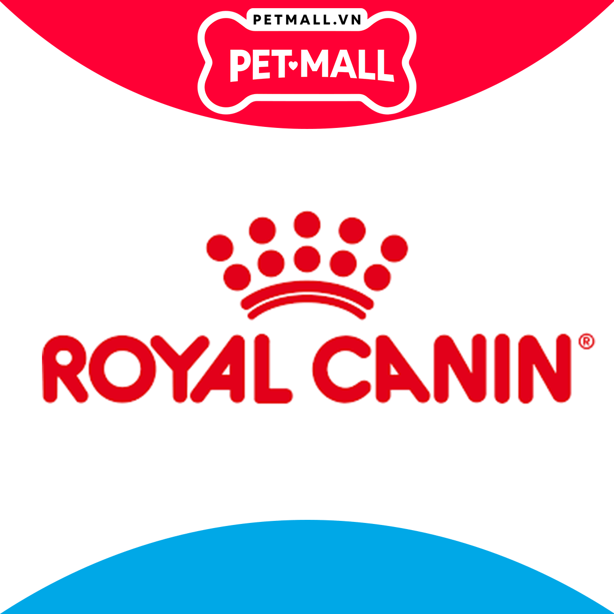 400G - Thức ăn mèo Royal Canin Skin & Coat - Dưỡng da và lông Petmall