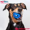 Đồ chơi ROGZ Fred Gum Massaging Treat Ball Medium Size | Orange Color - Màu cam, hỗ trợ massage nướu, có thể nhét treats Petmall