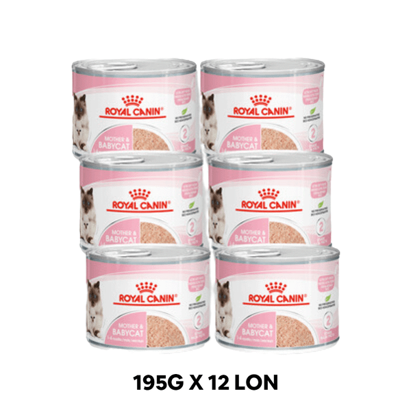 Combo 12 Lon 195G - Pate mèo Royal Canin Mother & Babycat Petmall