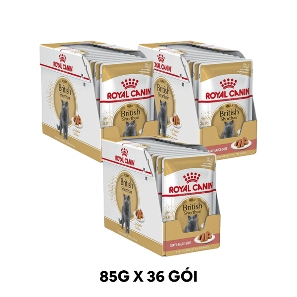 Combo 36 Gói 85G - Pate mèo Royal Canin British Shorthair Adult Gravy Petmall