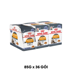 Combo 36 Gói 85G - Pate Mèo Royal Canin Hair & Skin Jelly Petmall