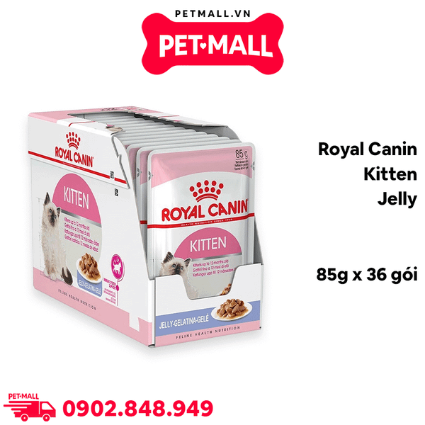 Combo 36 Gói 85G - Pate mèo Royal Canin Kitten Jelly Petmall