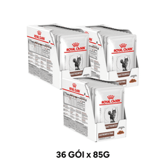 Combo 36 Gói 85G - Pate mèo Royal Canin Gastrointestinal Gravy Petmall