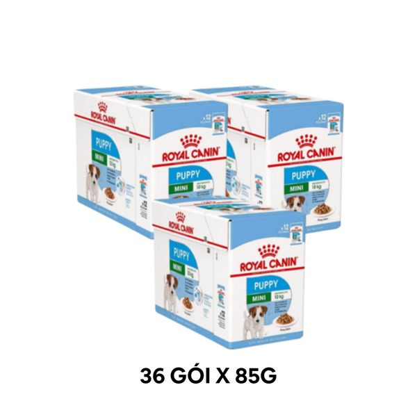 Combo 36 Gói 85G - Pate chó Royal Canin Mini Puppy Gravy Petmall