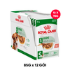 Hộp 12 Gói 85G - Pate Chó Royal Canin Mini Adult Gravy Petmall