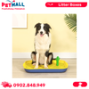 Khay vệ sinh xương rồng SONICE Catus Petmall