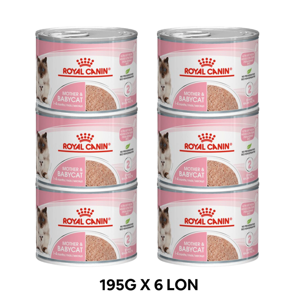 Combo 6 lon 195G - Pate mèo Royal Canin Mother & Babycat Petmall