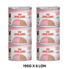 Combo 6 lon 195G - Pate mèo Royal Canin Mother & Babycat Petmall