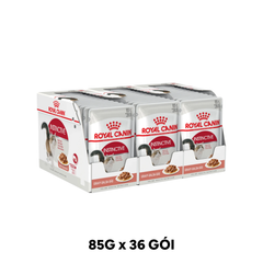 Combo 36 Gói 85G - Pate mèo Royal Canin Instinctive Gravy Petmall