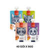 Hộp 10 Gói 90G - Treats mèo dạng nắp vặn WANPY Tasty Meat Paste Chicken & Carrot - Thịt Gà & Cà Rốt Petmall