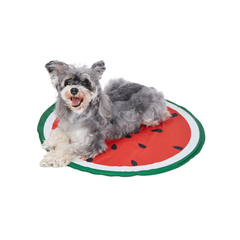 Đồ chơi FF Watermelon Cooling Mat - Thảm làm mát hình dưa hấu Petmall
