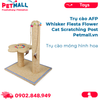  Trụ cào AFP Whisker Fiesta Flower Cat Scratching Post Size 39x39x68cm - Trụ cào móng hình hoa Petmall 