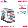 Hộp 12 Gói 85G - Pate mèo Royal Canin Urinary Gravy Petmall