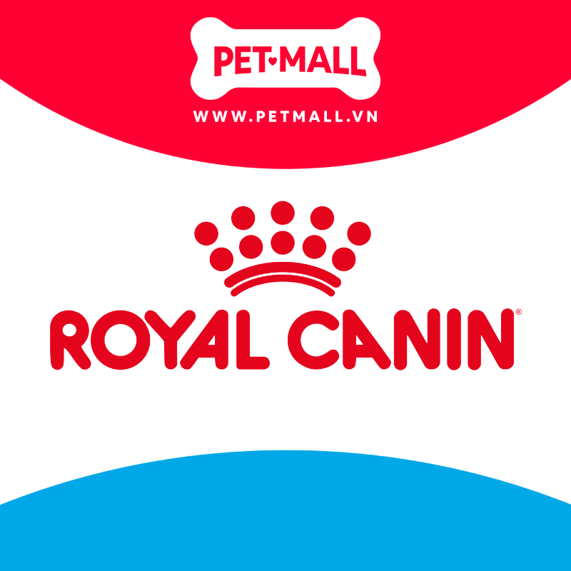Thức ăn mèo Royal Canin KITTEN 400g Petmall