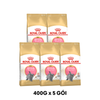 400G - Thức ăn mèo Royal Canin British Shorthair Kitten - Mèo Anh lông ngắn Petmall
